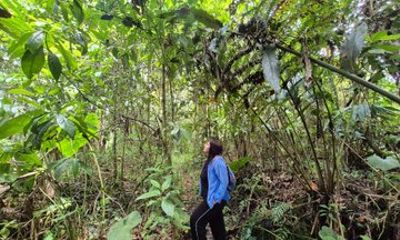 Barbas Bremen Nature Reserve Tour