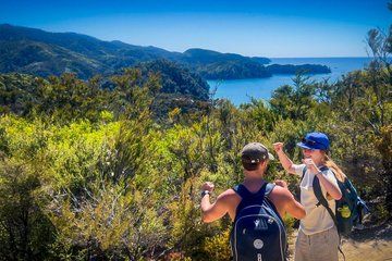 Tui: 20 Day Auckland to Christchurch Adventure Tour