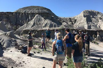 Badlands Fossil Expedition Exclusive Private Tour from Calgary