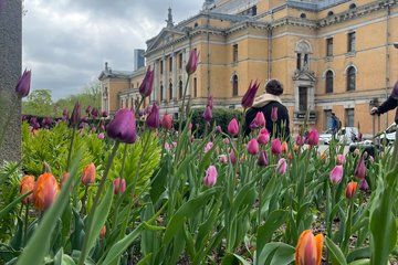 Oslo City Tour and Local Secrets Guide