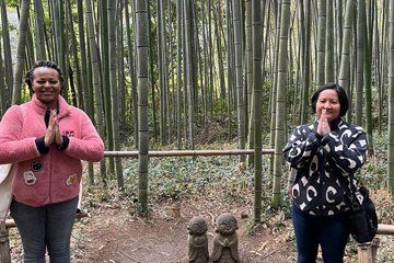 Full Day Private Tour at Arashiyama