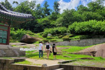 Seoul's Most Peaceful Palace Walk with a Local