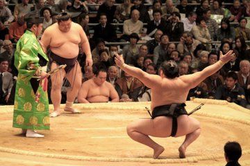 From Osaka: Nagoya Sumo Tournament with Guide & Reserved Seat
