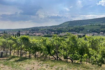 Wine Tour of Amarone della Valpolicella