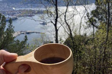 Bergen Guided Hike to Scenic Mountain with Local Guide and Lunch