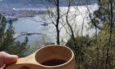 Bergen Guided Hike to Scenic Mountain with Local Guide and Lunch