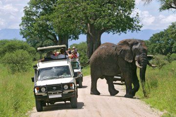 3Day Amboseli Park Safari at Ol Tukai Lodge in a 4x4 Land Cruiser