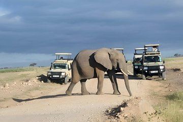 Overnight Tsavo East Safari From Mombasa or Diani