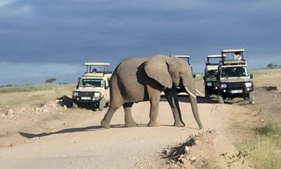 Overnight Tsavo East Safari From Mombasa or Diani