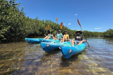2 Hour Mangrove Maze Kayak Tour in Key West