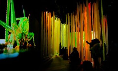 NightLife at California Academy of Sciences