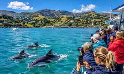 Akaroa Coastal Discovery Day Tour from Christchurch or Lyttelton