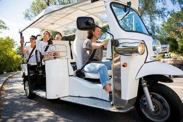 Brisbane South Bank Tour by Tuk Tuk