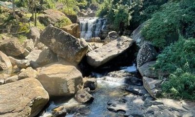 Private Scenic Tour Kandy to Ella with Sightseeing Stops