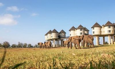3 Days Taita Hills in Saltlick Lodge Private Safari from Mombasa