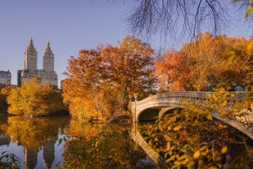 Private Central Park Highlights Pedicab Tour Relaxing and Scenic