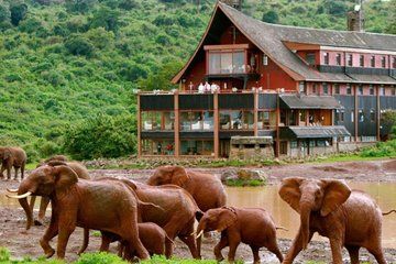 3Days Aberdares & Sweetwaters Ol Pejeta Chimpanzee Sanctuary