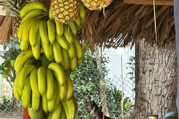 Puerto Plata City Tour and Countryside
