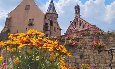 Alsatian Christmas Market and Wine Tasting Tour