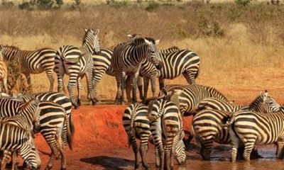 3 Day Private Safari to Tsavo East and West