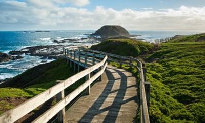 Phillip Island Penguins – Private Shore Tour from Melbourne