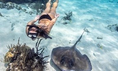 3 Stops Stingray City Snorkeling and Starfish Beach