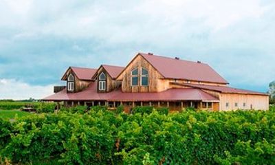 Niagara-on-the-Lake Evening Beer & Wine Country Dinner Tour
