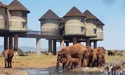 Private Kenya 3 Days Safari Tour Tsavo East, Taita Hills Wildlife
