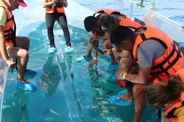 Fully Clear Boat Reef Explorer Iguana Island 3-Hour Adventure