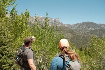 Mt. Charleston Sky Island Hiking Tour from Las Vegas
