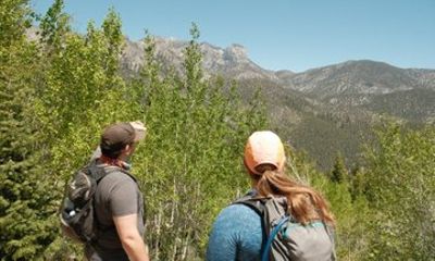 Mt. Charleston Sky Island Hiking Tour from Las Vegas