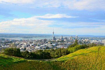 Iconic Auckland City Tour