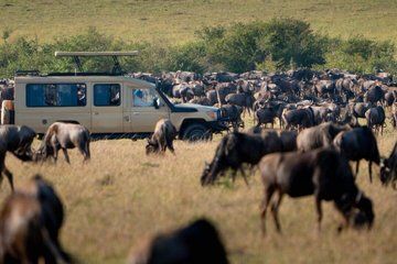 4 Tanzania Classic Safari