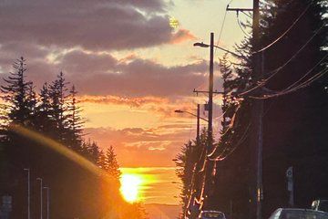 Sightseeing Tour of Juneau Alaska Explore History and Culture