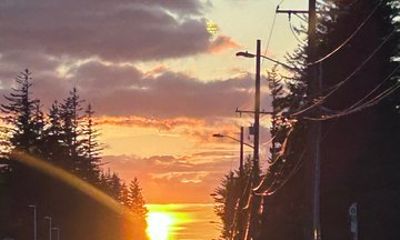 Sightseeing Tour of Juneau Alaska Explore History and Culture