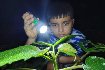 La Fortuna Combo Sloth Watching and Night Walk Adventure