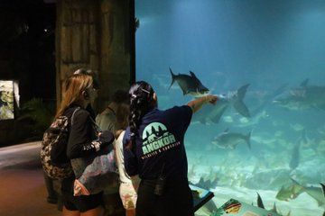 Tonle Sap River Monsters Experience & Kampong Phluk Sunset Tour