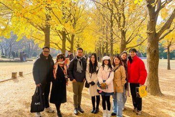 Nami Island and Cafe Pokpo and Hidden Autumn Foliage from Seoul