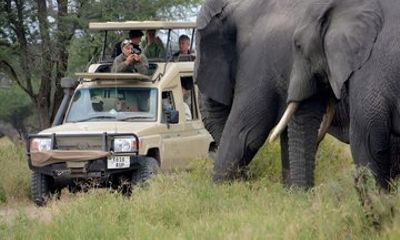 5-Day Tanzania Safari: Tarangire, Serengeti & Ngorongoro Crater