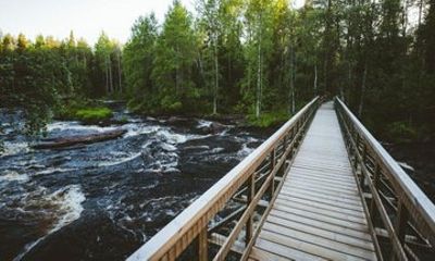 Rovaniemi Nature Tour with Local BBQ Experience and HD Photos