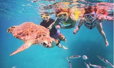 Best Snorkeling Tours with Complimentary Photos