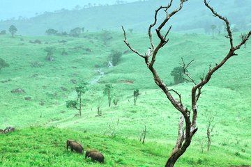 Sri Lanka Grand Explorer 14-Day Private Island Adventure