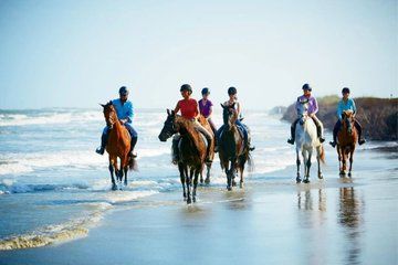 Ubud Horse Riding Zip Line Tour and Waterfall Tour