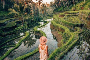 Ubud Private Custom Tour with Temples, Swing and Waterfalls
