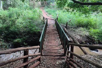Karura Forest Walk and Waterfall Guided Tour