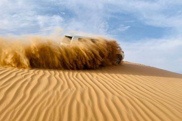 Abu Dhabi Morning Desert Safari with Camel Ride & Hotel Pickup