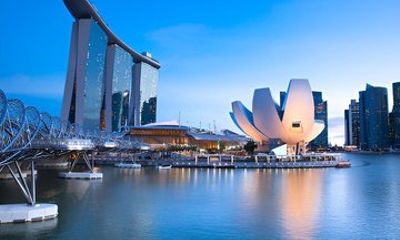 Half Day Tour of Singapore with Orchid Garden Ticket