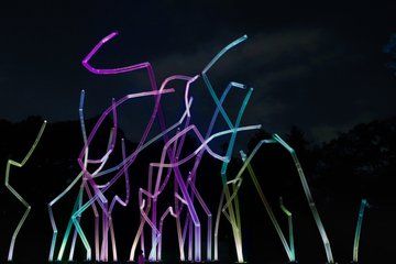 TeamLab Botanical Garden Osaka Night Art Experience