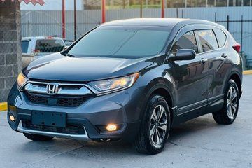 Airport Shuttle & City Transfers
