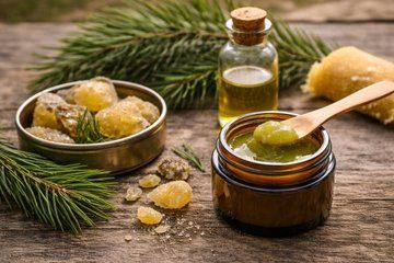 Guided Forest Walk and Pine Resin Salve Making in Salzburg